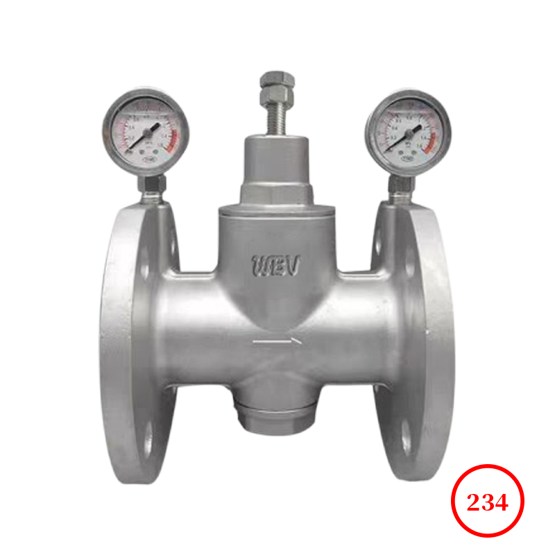 彈簧薄膜式減壓閥帶雙防震表 spring diaphragm regulator +2 Seismic pressure gauge Y42X/F-10/16